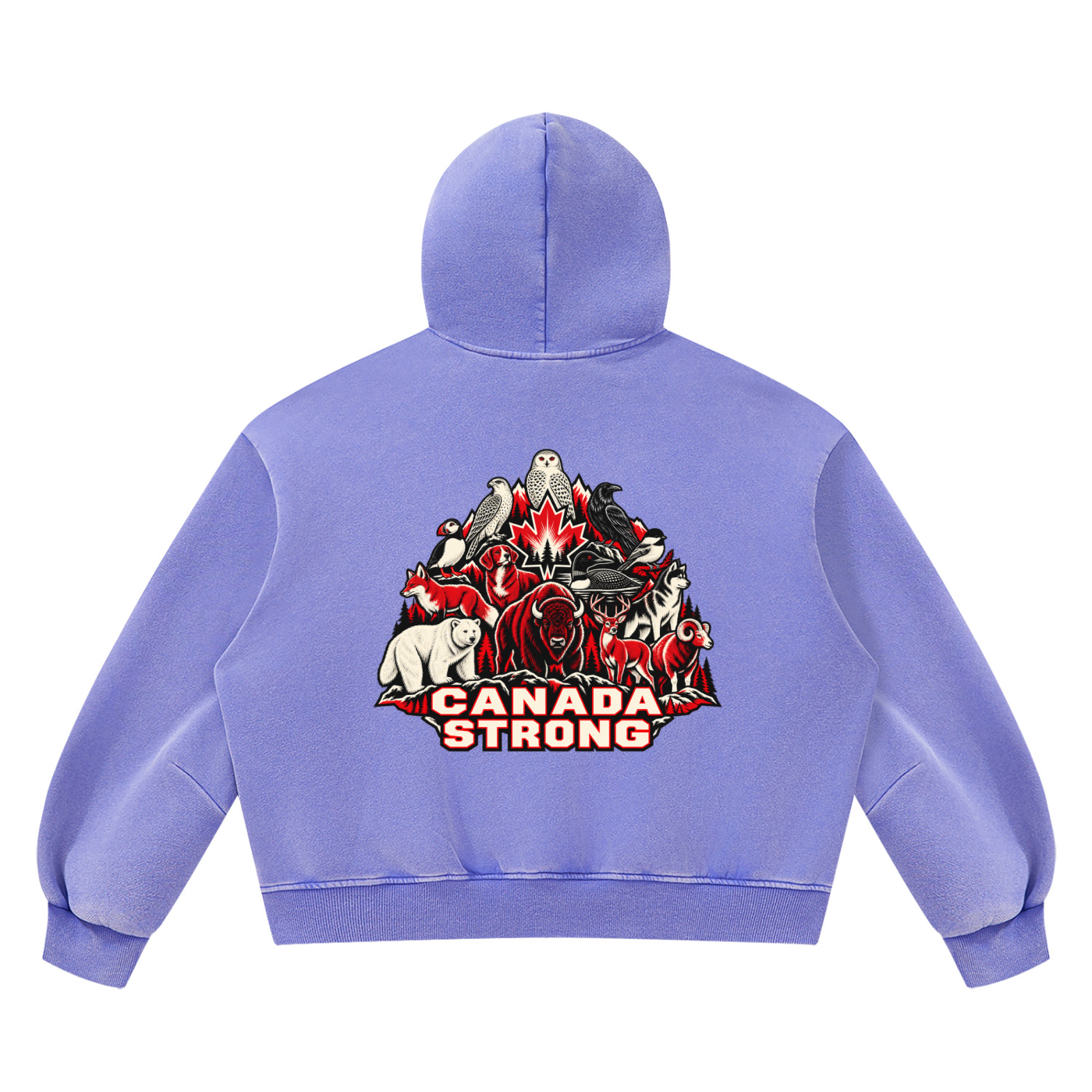 STRONG CANADA Vintage Fleece Hoodie | NORVIDA