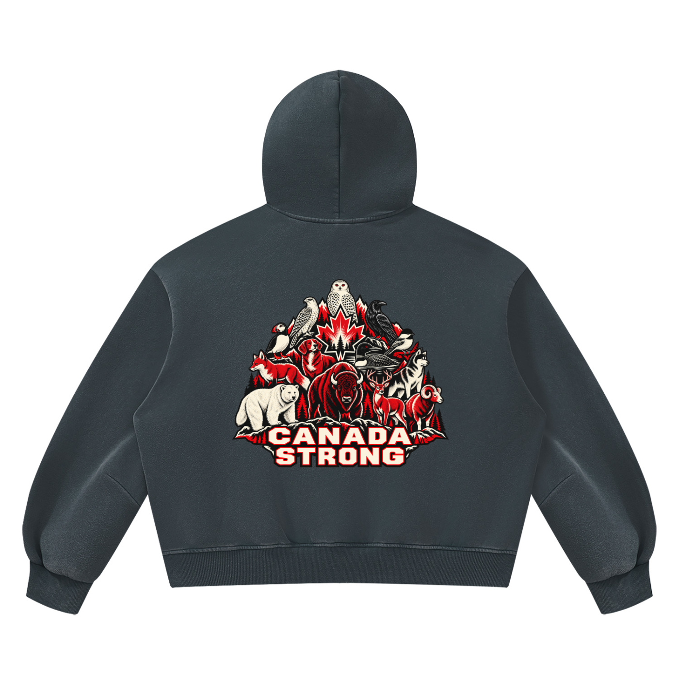 STRONG CANADA Vintage Fleece Hoodie | NORVIDA