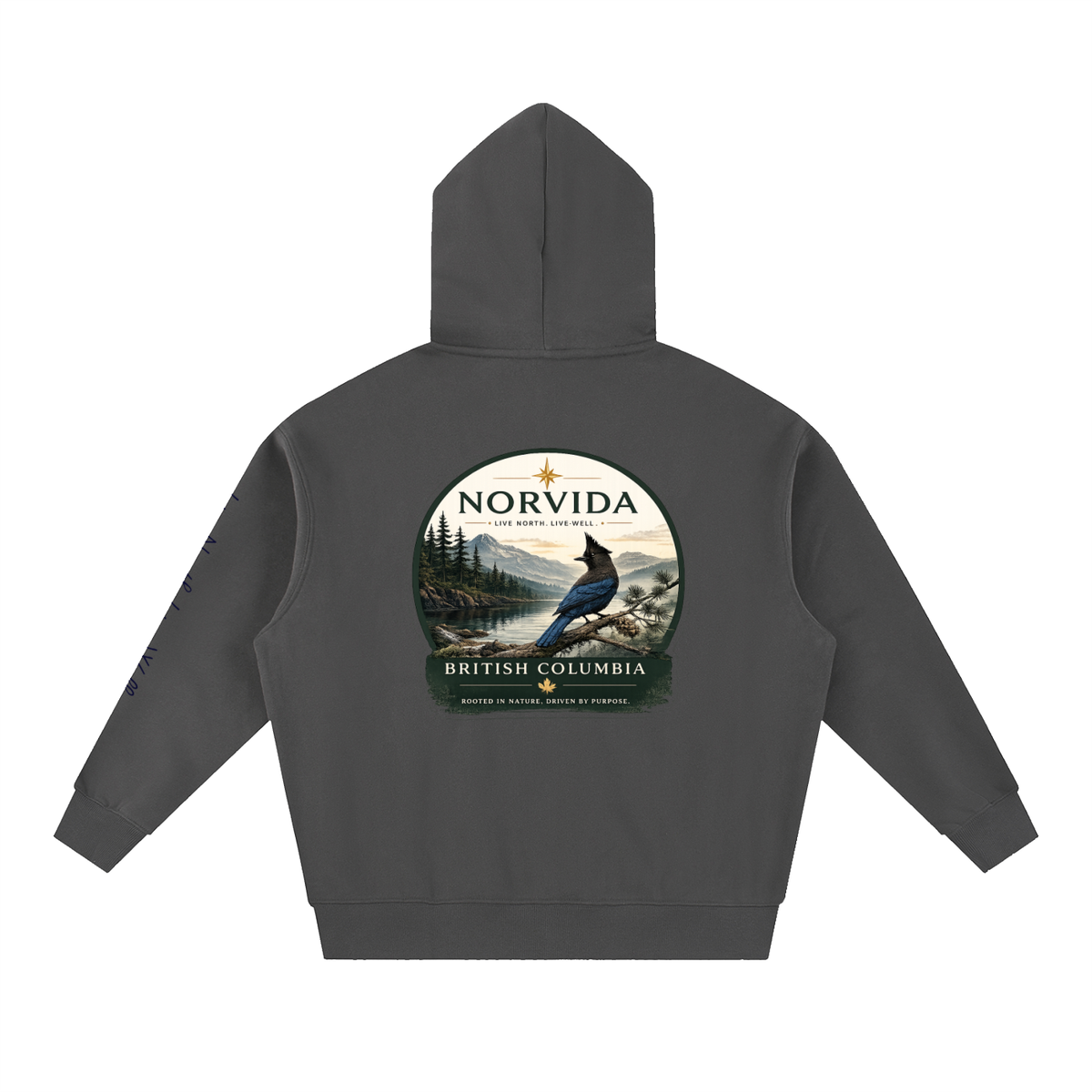 NORVIDA BC Steller’s Jay Oversized Fleece Hoodie